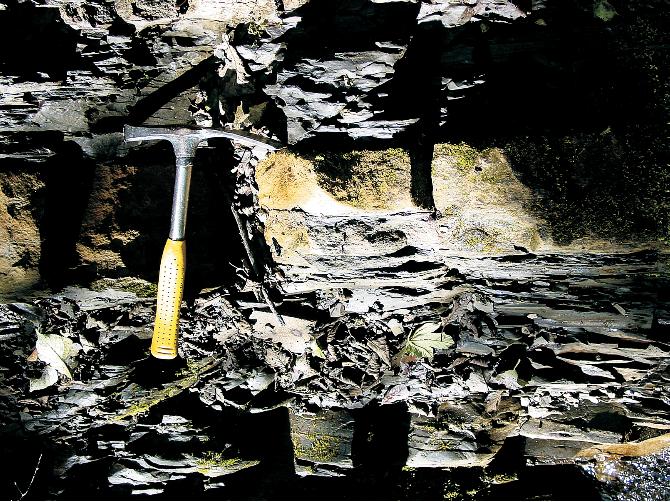 State of its exposures, typical lithological development and small tectonic disturbances allow proper sampling; A C western bank of the Krupianka Creek, several tens of meters above the bridge of the