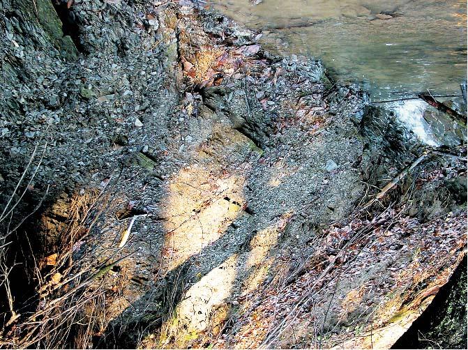 piaskowce oraz czarne ³upki typowo wykszta³conej formacji szlachtowskiej; B ods³oniêcie na zachodnim brzegu