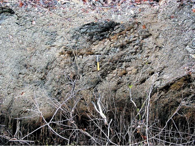 Outcrop of the Szlachtowa Formation (Grajcarek Succession) in the Potok Krêty creek (Krempachy village); A