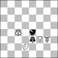 915 [55] Zoltan LABAI (Słowacja) 916 [74] Aleksandr PANKRATIEW 2. SAMOMATY w 2 POSUNIĘCIACH Temat: wstęp oddaje wolne pole/pola czarnemu lub/i białemu królowi.