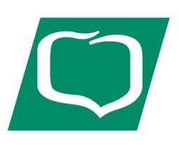 BANK SPÓŁDZIELCZY W CHOJNOWIE Grupa BPS Informacja Banku Spółdzielczego w