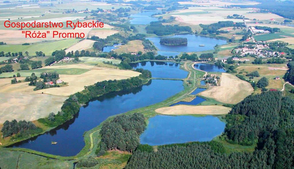 Paradoksem jest to, że w Polsce na wielu zupełnie nowych obiektach stawowych utworzono również obszary chronione Natura 2000.