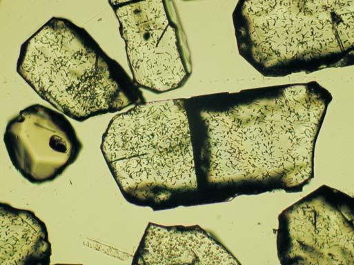 Rys. 2. Apatyty z tonsteinu z pok³adu 328, górny karbon, KWK Brzeszcze, GZW: widoczne traki spontaniczne. pow. 120 Fig. 2. Apatites from the Upper Carboniferous tonstein (coal seam 328, coal mine Brzeszcze, Upper Silesia Coal Basin): spontaneous track are visible (120) Rys.