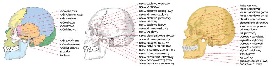 ) Obróbka ubytkowa na obrabiarkach CNC, podobnie jak metody przyrostowe, bazuje na modelach 3D-CAD.