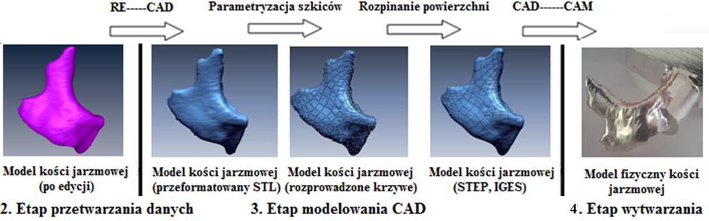 CAD, a przez to eliminacje błędów odwzorowania powierzchni, co w rezultacie przekłada się na dokładność wytwarzanych modeli fizycznych bioelementów. 3.