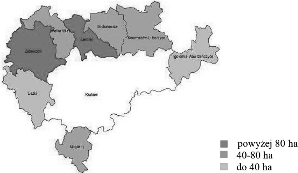 Przeobrażenia w strefach podmiejskich dużych miast na tle procesów suburbanizacji 171 Rys. 4.