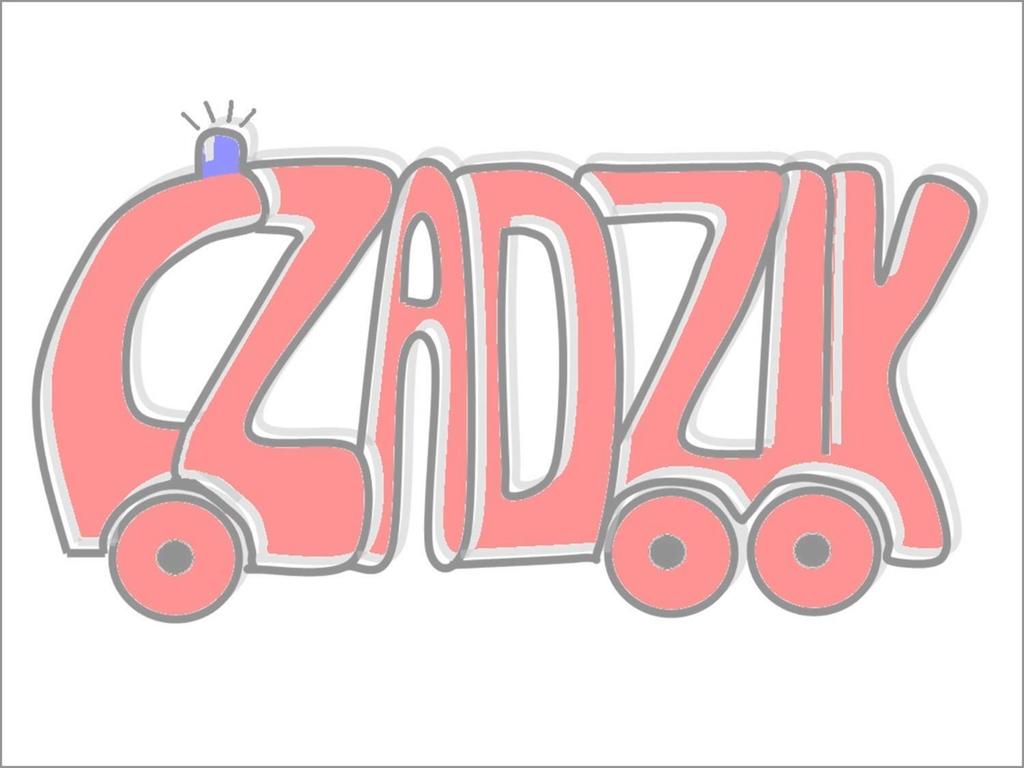 CzaDziK to system stworzony od podstaw przy udziale strażaków i leśników z powiatu choszczeńskiego w 2014 r.