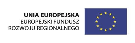 1 Projekty B+R przedsiębiorstw, poddziałania 1.1.1 Badania przemysłowe i prace rozwojowe realizowane przez przedsiębiorstwa Tytuł projektu: System wspomagania decyzji i zarządzania wiedzą biznesową