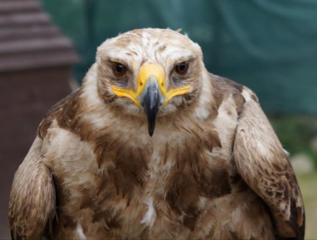 Obieramy kierunek na zamek Stara Lubovna i skansen na podzamczu.