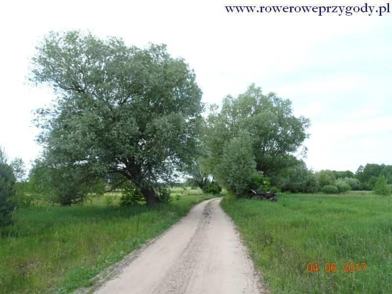 W pewnym momencie do miejsca, gdzie po lewej stronie drogi zobaczymy na dalekim wzgórzu ambonę myśliwską, położoną wśród rozległych pól uprawnych, ciągnących się prawie pod horyzont.