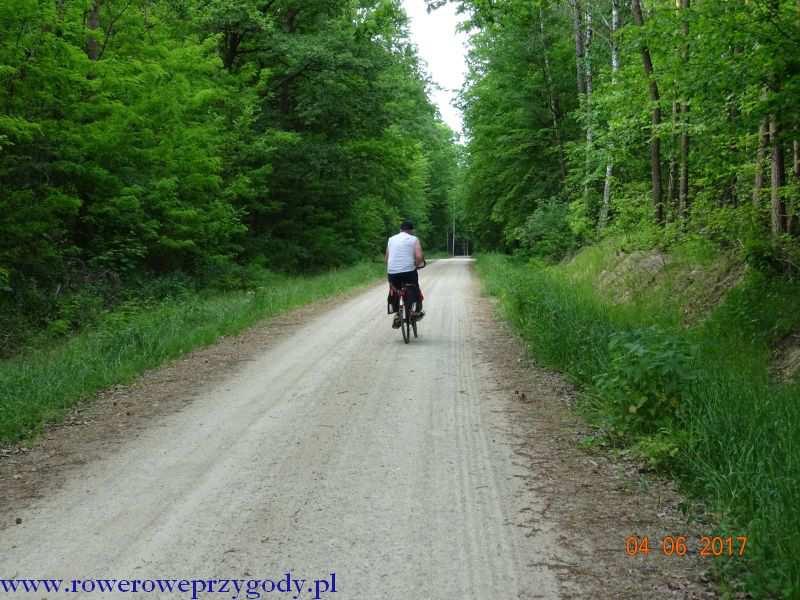 Zdjęcie nr 18 - Droga wymarzona dla rowerzystów w okolicy miejscowości Stulno.