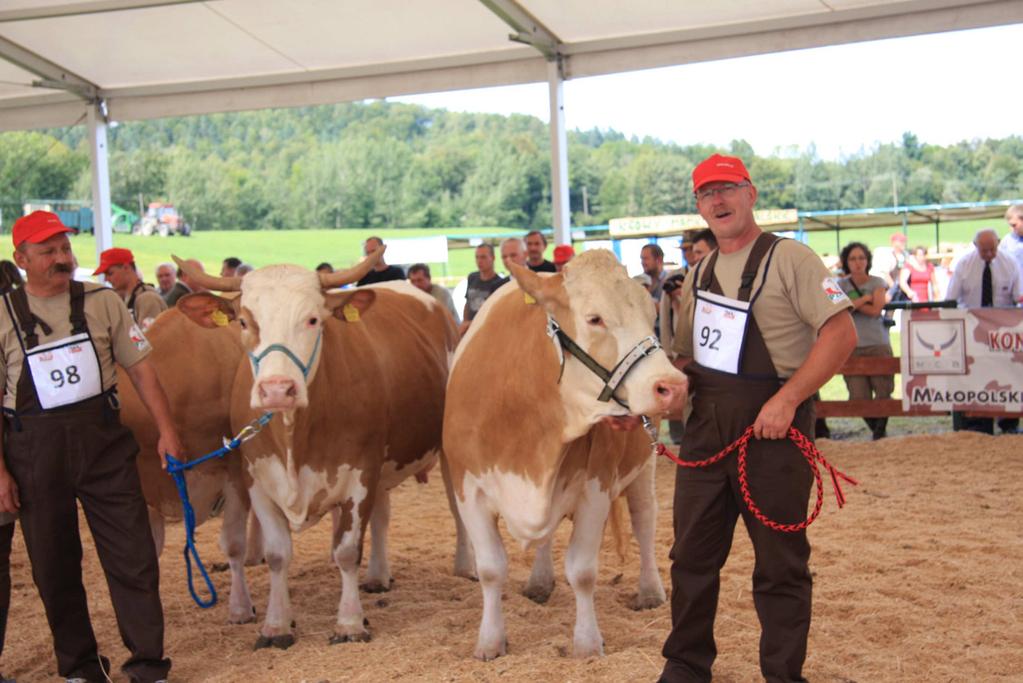 Czempion wśród krów w II laktacji ALGIDA (nr