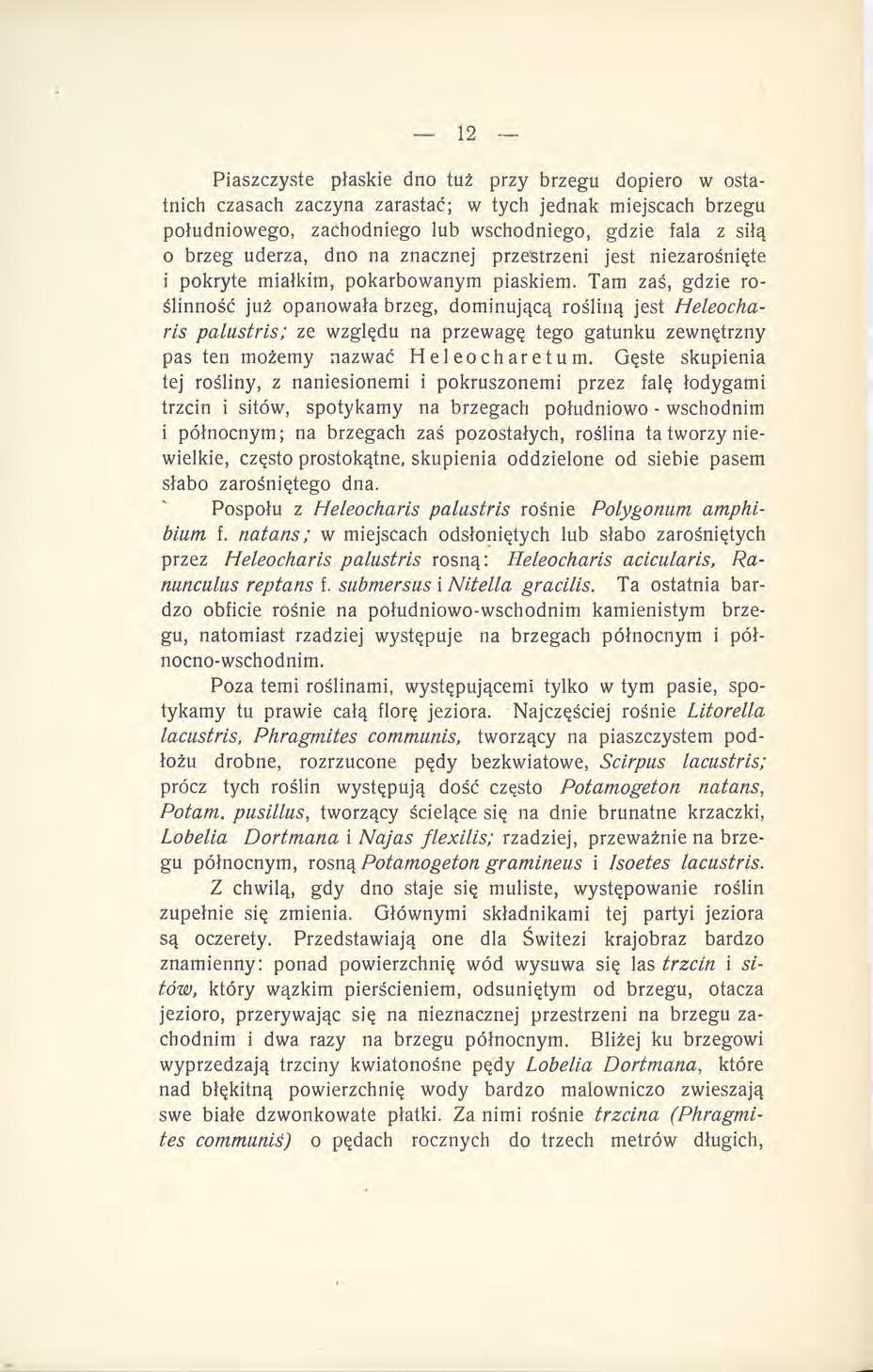 Piaszczyste płaskie dno tuż przy brzegu dopiero w ostatnich czasach zaczyna zarastać; w tych jednak miejscach brzegu południowego, zachodniego lub wschodniego, gdzie fala z siłą 0 brzeg uderza, dno