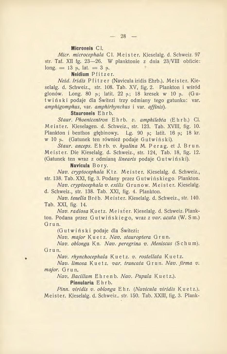 Microneis Cl. Micr. microcephala Cl. Meister. Kieselalg. d. Schweiz. 97 str. Taf. XII fg. 23 26. W planktonie z dnia 23/VIII obficie: long. = 13 [i, lat. = 3 {i. Neidi