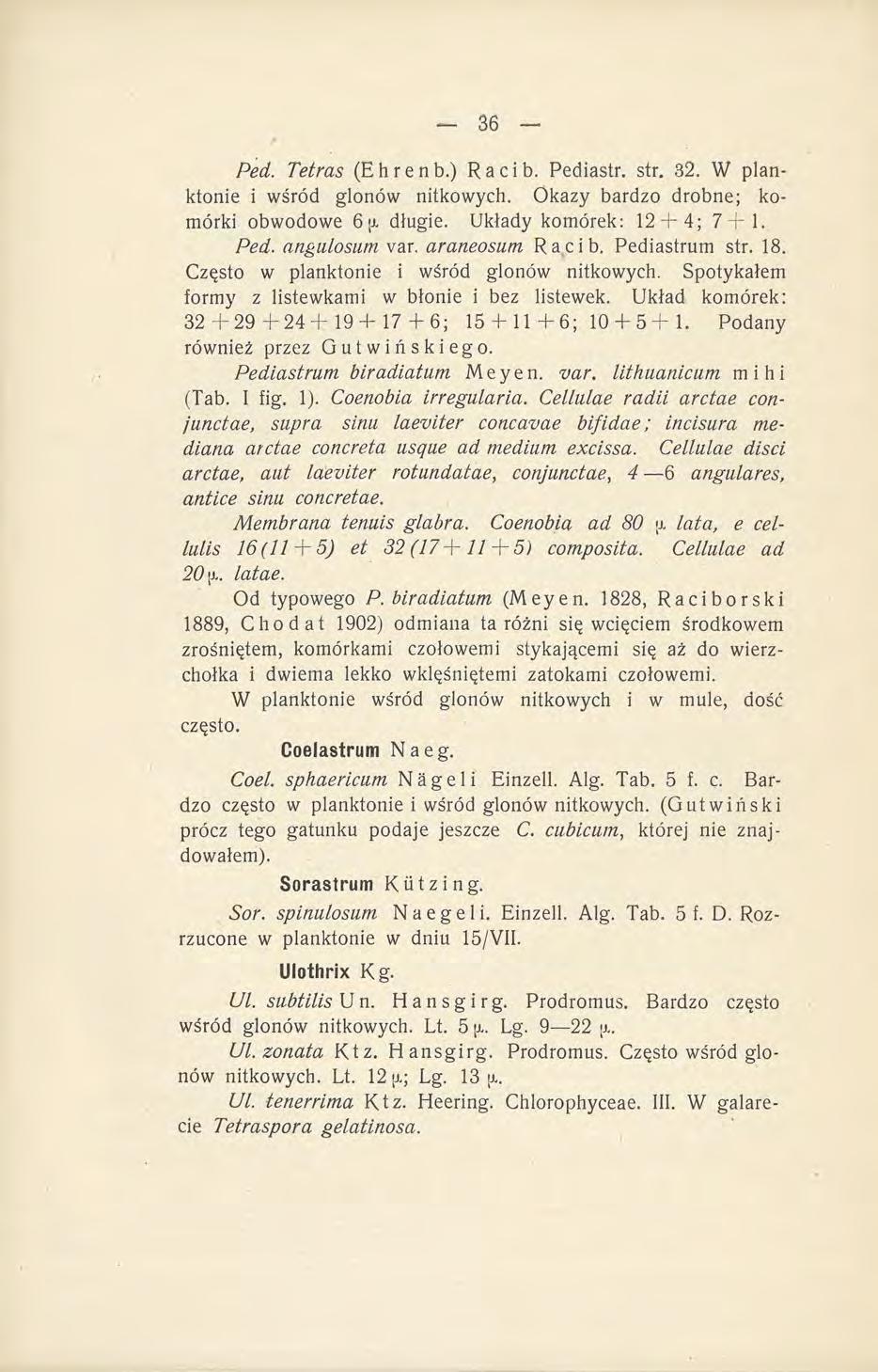 Ped. Tetras (Ehrenb.) Racib. Pediastr. str. 32. W planktonie i wśród glonów nitkowych. Okazy bardzo drobne; komórki obwodowe 6 JJ. długie. Układy komórek: 12 + 4; 7+1. Ped. angulosum var.