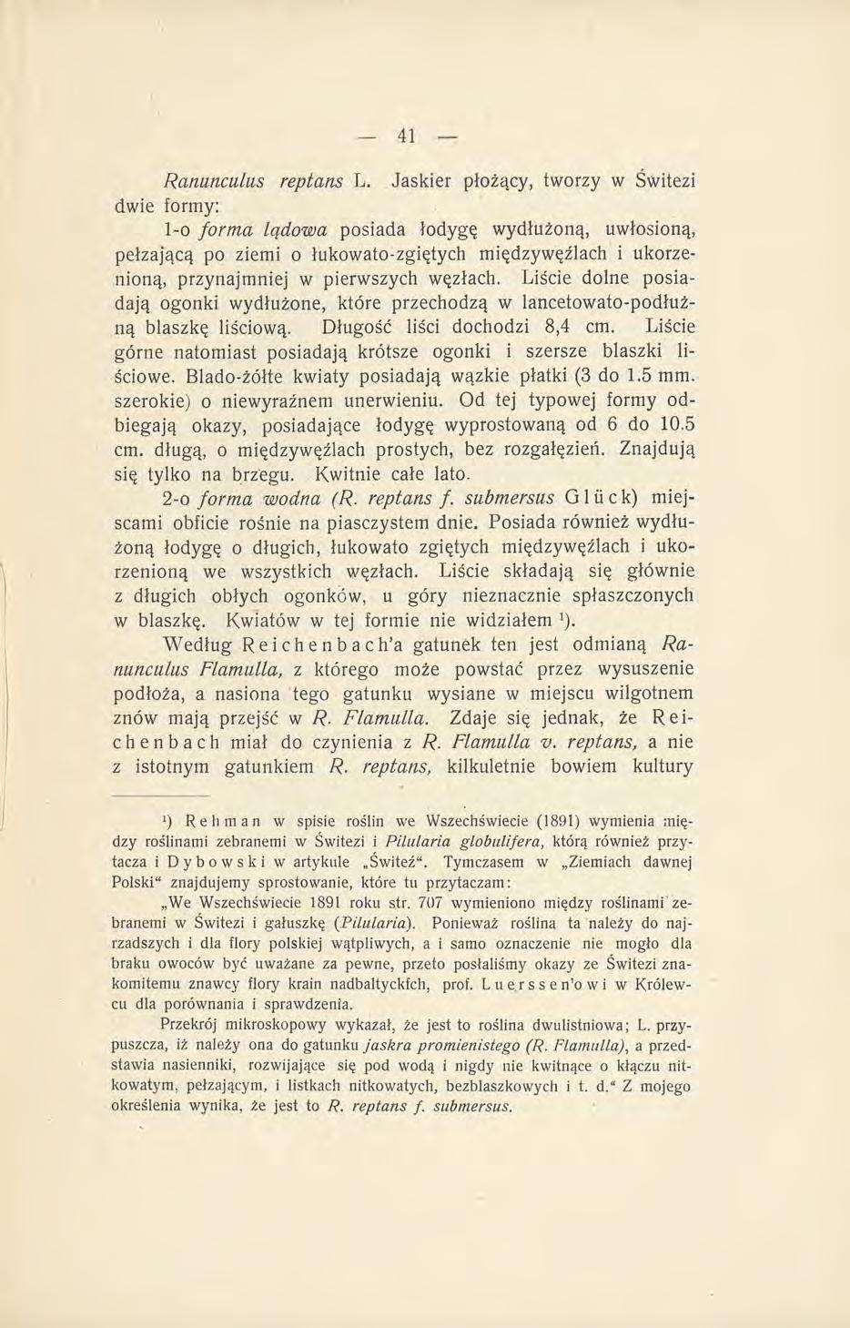 Raniinciilus reptans L.