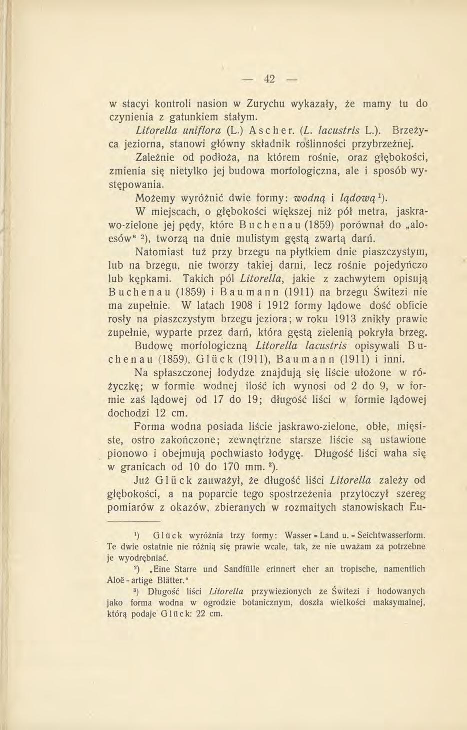 w stacyi kontroli nasion w Zurychu wykazały, że mamy tu do czynienia z gatunkiem stałym. Litorella uniflora (L.) A s c h e r. {L. lacustris L.). Brzeżyca jeziorna, stanowi główny składnik roślinności przybrzeżnej.