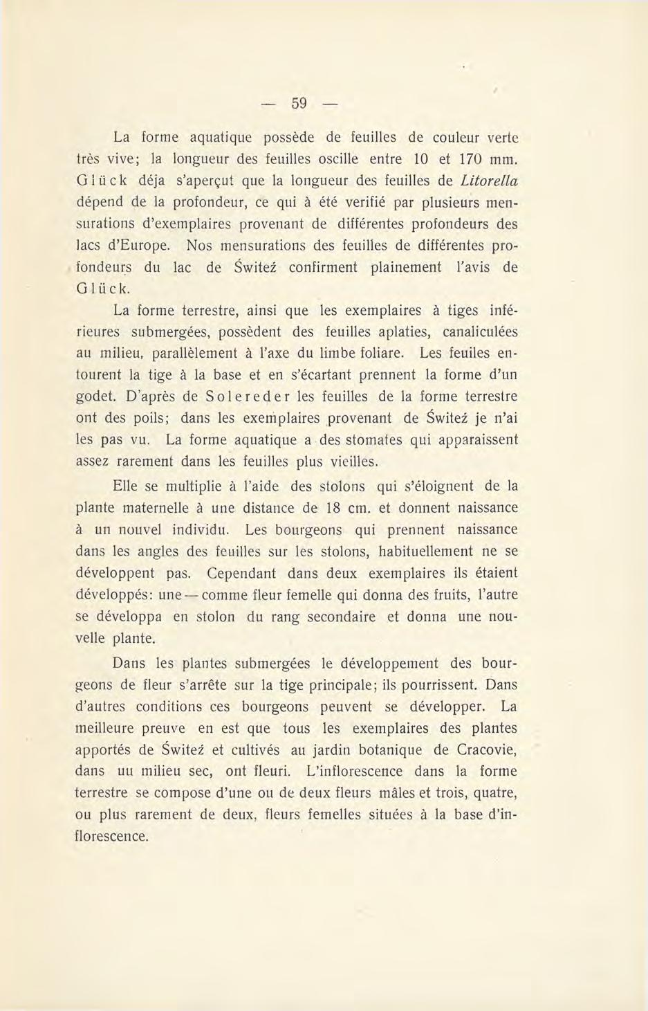 La forme aquatique possède de feuilles de couleur verte très vive; la longueur des feuilles oscille entre 10 et 170 mm.