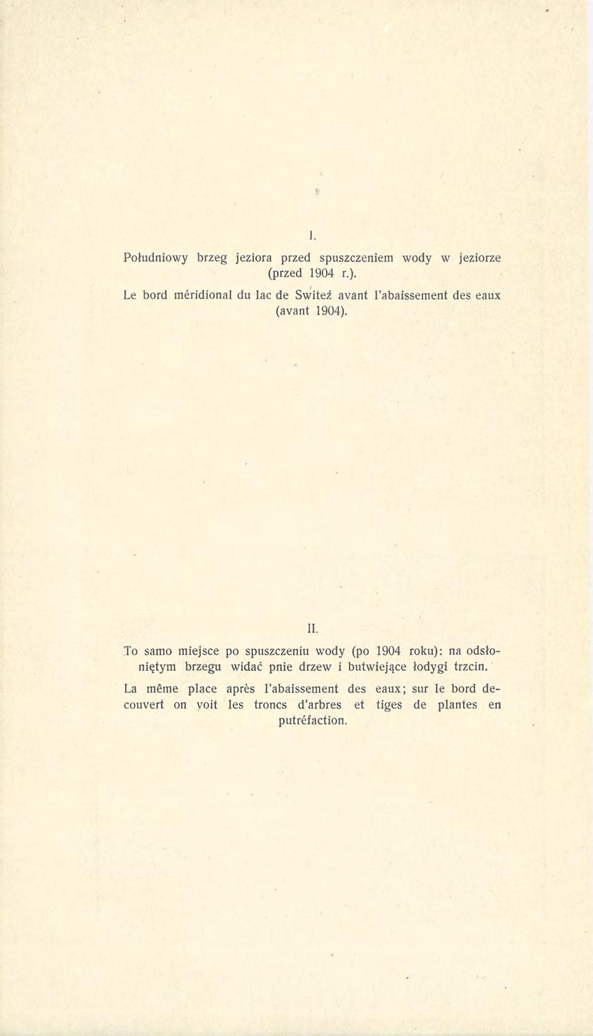 Południowy brzeg jeziora przed spuszczeniem wody w jeziorze (przed 1904 r.). Le bord meridional du lac de Świteź avant 1'abaissement des eaux (avant 1904). II.