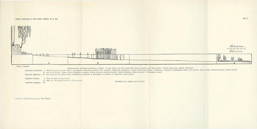 PRACE WYDZIAŁU III TOW. NAUK. WARSZ. Jfe 13. 1916. Tabl. V. jsfjcsci/w sfiloivouj-as. / l S V t, >, e i Skala w metrach. Rozmieszczenie roślinności kwiatowej w Świtezi.