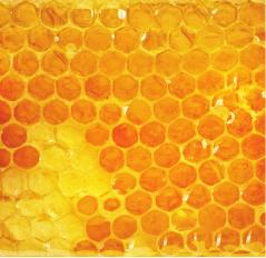 kod: 5901810041052 kod: 5901810041076 SHOWER GEL PRYSZNIC kod: 5901810041960 KREMOWY WEALTH OF HONEY BOGACTWO MIODU CREAM