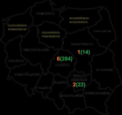 Liczba OWIEC (stad i maciorek) objętych