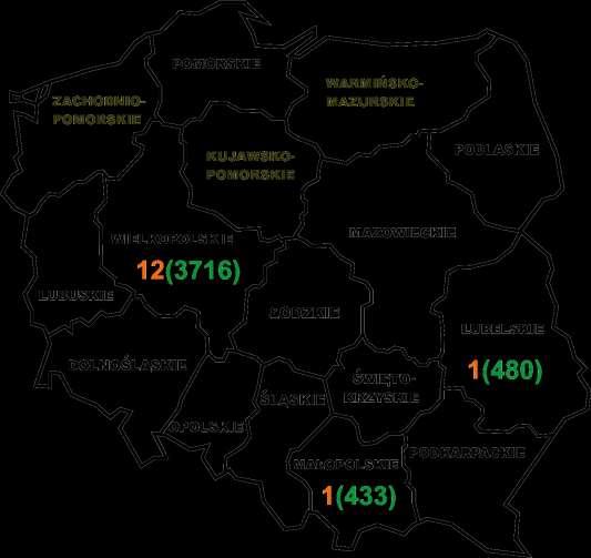 Liczba stad i zwierząt