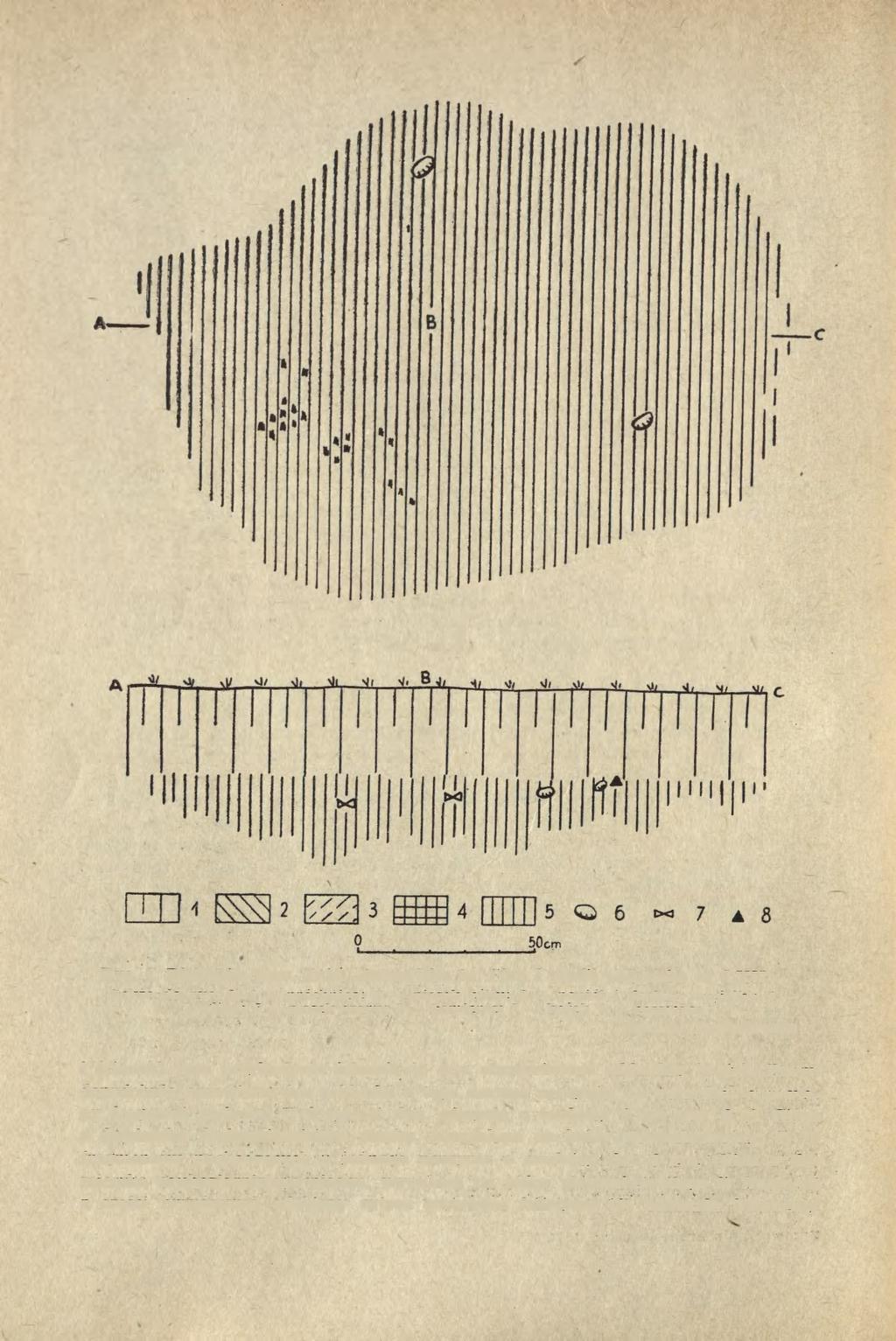 178 ZBIGNIEW BUKOWSKI Ryc. 1. Biskupin, pow. Żnin, stanowisko 2a. Plan i profil paleniska nr LXII: (także do ryc.