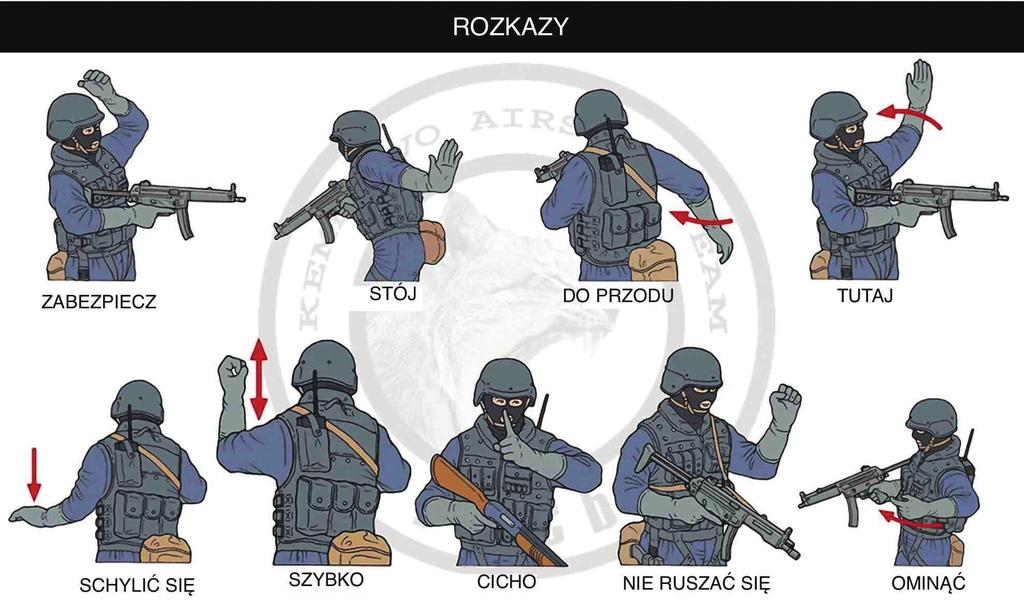 PAWEŁ PAJORSKI jak też tych stanowiących wewnętrzny język kodowy podmiotu, w którym zatrudnieni są pracownicy lub też sekcji (zespołu), w ramach której