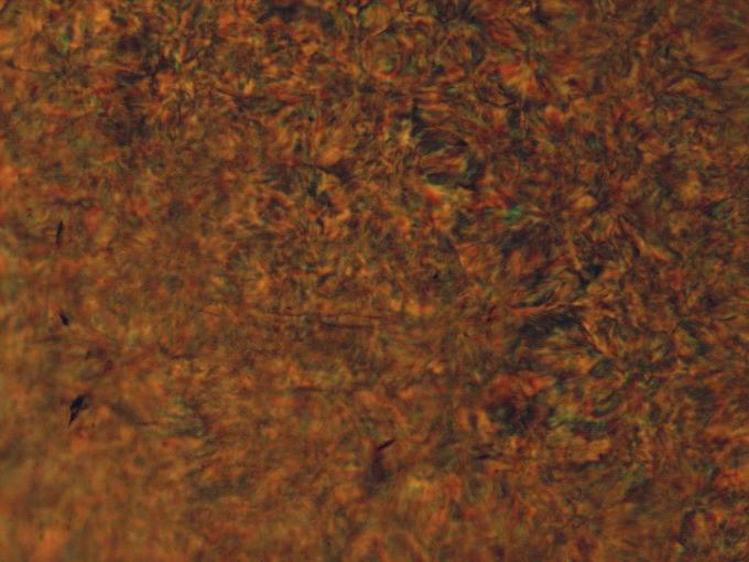 8 Adam GNATOWSKI, Dominik GRZESICZAK, Mateusz CHYRA, Patryk JAGUSIAK d) 5 µm 5 µm e) 5 µm