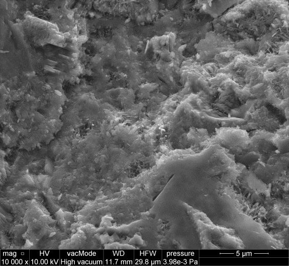 Increase of mortar mass as a resulat of capillary rise of water Mikrostrukturę zapraw z pyłem bazaltowym zbadano przy użyciu elektronowej mikroskopii skaningowej SEM.
