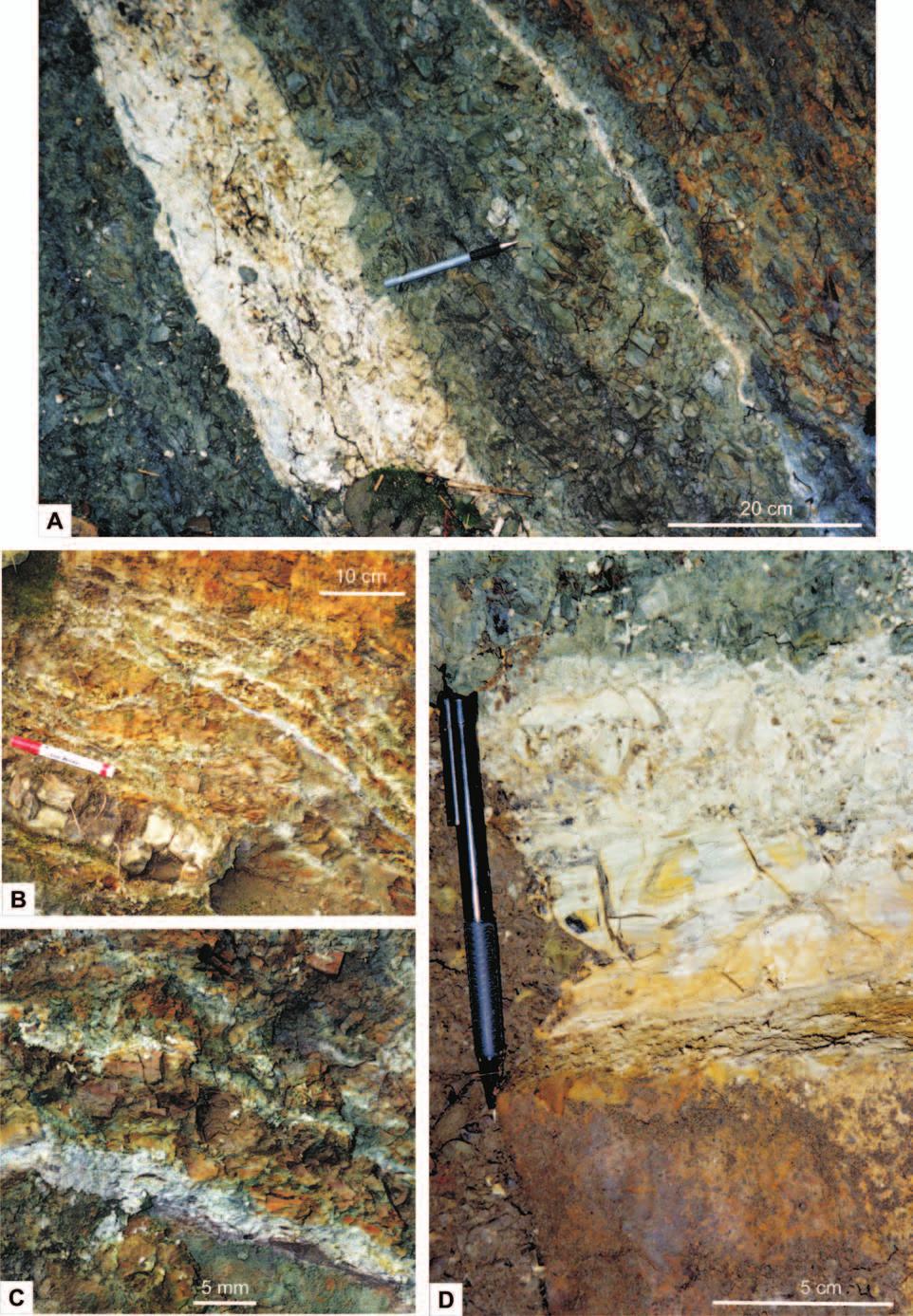 BEN TO NI TIZED TUF FITES IN THE LOWER EO CENE DEPOSITS 201 Fig.