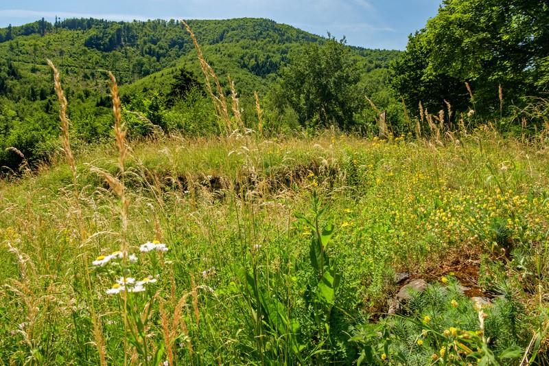 .. miejsce to jest wszak częścią naszego dziedzictwa, burzliwej historii regionu, czasów rycerstwa gdy tworzyły się podwaliny naszej państwowości.