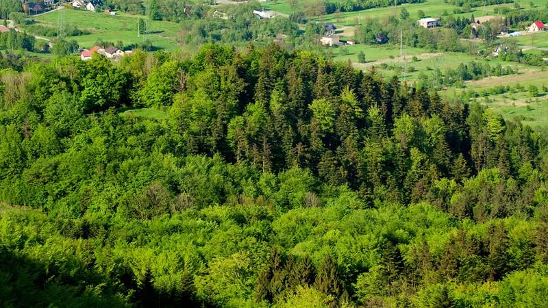 korzystniej jest podzielić te wypadu na dwa wypady.