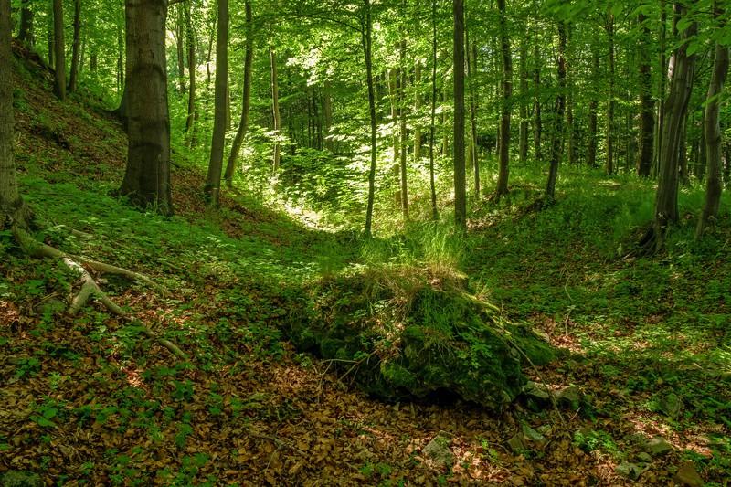 Zamek otoczony fosą, o dużej wybitności, ostro pochylonych zboczach i doskonałym, szerokim polu widzenia doskonale był przygotowany do funkcji strażniczo obronnej, biorąc pod uwagę te właśnie