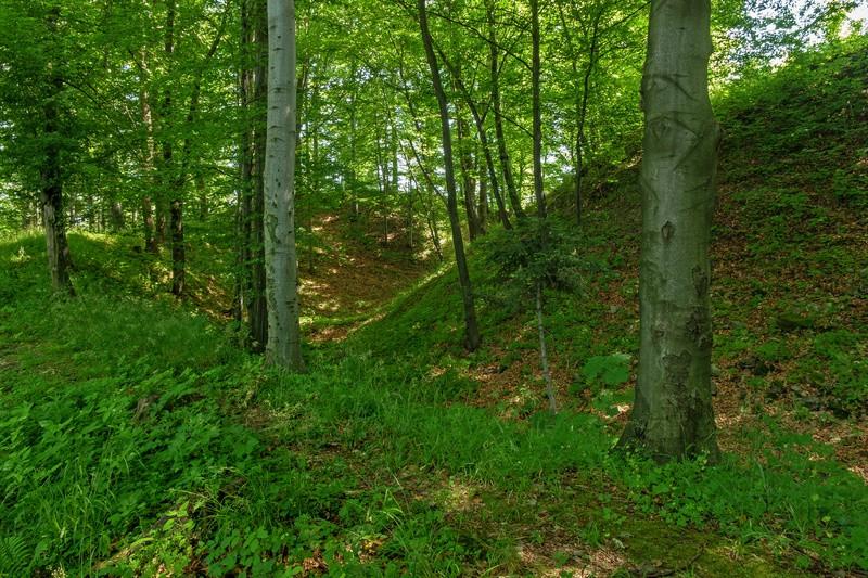 niezauważanym pod jego mury Ruszając w drogę powrotną, marszrutę rozpoczynamy od powrotu na śródleśne siodło, gdzie zakręcamy w lewo w stronę wspomnianej wcześniej czerwonej strzałki, pozostałości