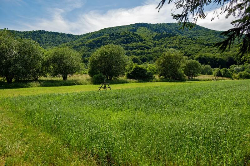 Leśniczówki Zasolnica, tu zakręcamy w prawo