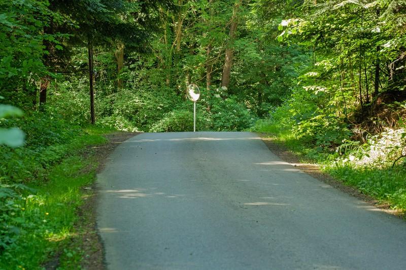Pokonawszy wzniesienie, mijając ostatnie budynki przy ulicy Górskiej, ulica wprowadzi nas w las mieszany, nadal pnąc się do góry, aż do widocznego
