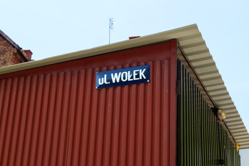 wierzbowego zagajnika.