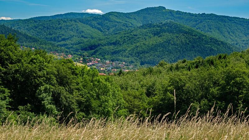 osiągnięciem warowni, ścieżka będzie prowadzić w górę, pnąc