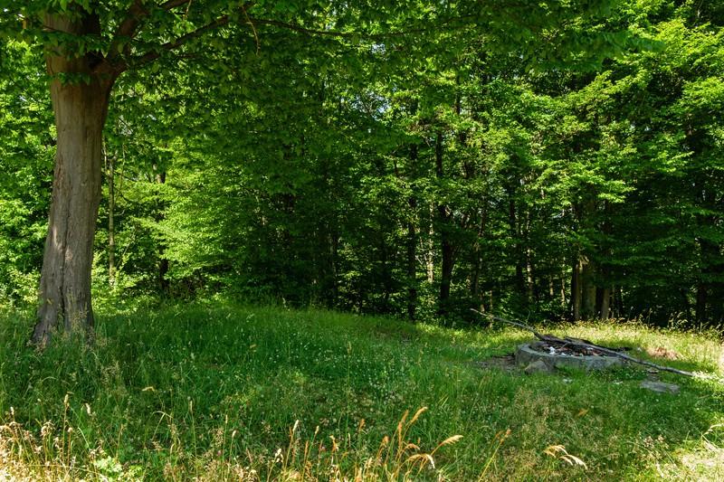 Zamek założony został na planie półowalnym, z wykorzystaniem walorów obronnych szczytu.