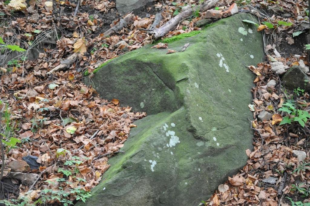 Waloryzacja geostanowiska Ekspozycja Dobrze wyeksponowany x Wymagający przygotowania Ocena Atrakcyjności Turystycznej [0-10] Ocena Atrakcyjności Dydaktycznej [0-10] Ocena