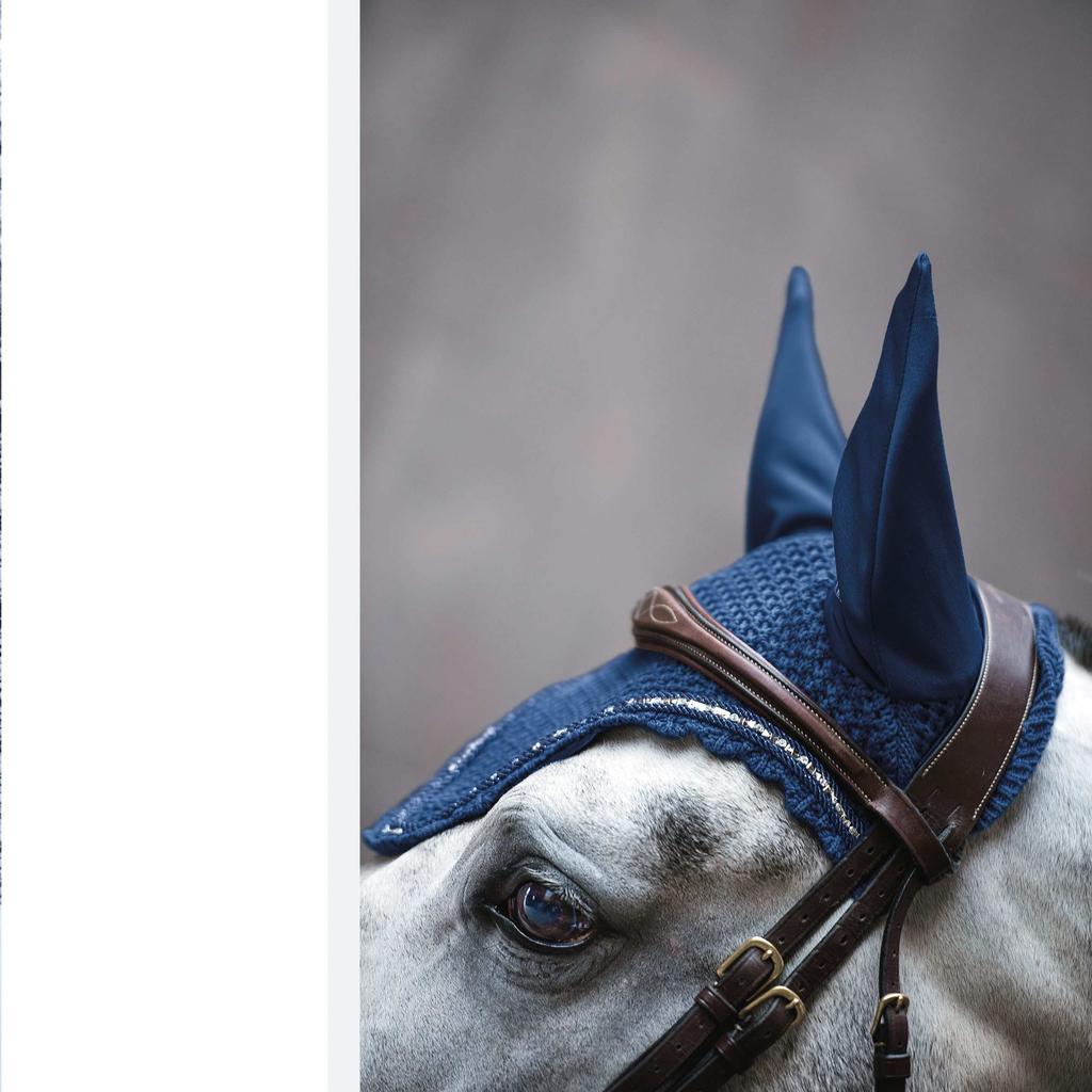 A ZU R Y T ART. 12521 CZAPRAK SADDLE PAD AZURY T Najwyższej jakości, atrakcyjnie przepikowany czaprak wykonany z atłasu. Podszyty szybko schnącą tkaniną typu quick dry.