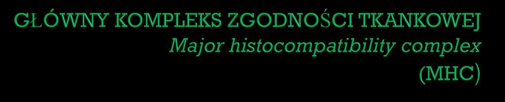MHC klasy I MHC klasy II występują na powierzchni wszystkich komórek w organizmie prezentują antygeny pochodzenia endogennego np.