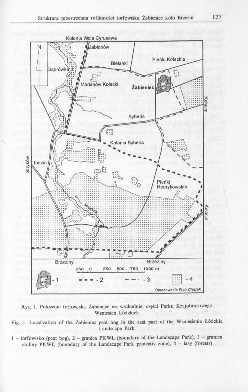 Kolonia Wola Cyrusowa labłonów Dąbrówka Bielanki Pieńki Kołackie Marianów Kołacki Żabieniec Syberia Kolonia Syberia Tadzin Pieńki Henrykowskie Brzeziny Brzeziny 2 5 0 O 2 5 0 5 0 0 7 5 0 1 0 0 0 tn