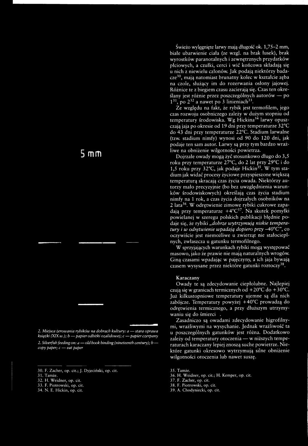 Czas ten określany jest różnie przez poszczególnych autorów po l 31, po 232 a nawet po 3 linieniach33.