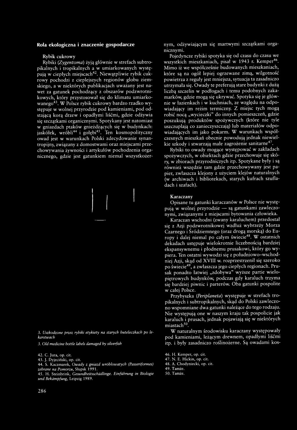 Ten kosmopolityczny owad jest w warunkach Polski zdecydowanie synantropijny, związany z domostwami oraz miejscami przechowywania żywności i artykułów pochodzenia organicznego, gdzie jest gatunkiem