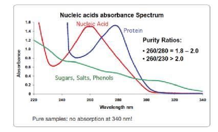 Dodatkowy pomiar absorpcji fali daje możliwość wykrycia zanieczyszczeń w próbce: 230nm (absorbowana przez związki organiczne: fenole; alkohole; izocyjanki) 280nm (absorbowana przez