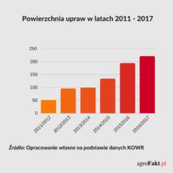 .pl https://www..pl Powierzchnia upraw winorośli w Polsce w latach 2011-2017. Prognoza na 2017r.
