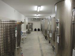 .pl https://www..pl Leżakownia wina w winnicy Golesz Polscy producenci jednak twierdzą, że produkcja winogron konsumpcyjnych jest nieopłacalna w naszym kraju.